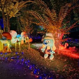 Garden of Lights Budapest - ELTE Füvészkert Budapest - Egyéb