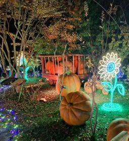 Garden of Lights Budapest - ELTE Füvészkert