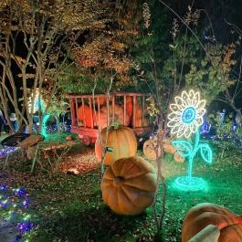 Garden of Lights Budapest - ELTE Füvészkert Budapest - Egyéb