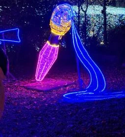 Garden of Lights Budapest - ELTE Füvészkert