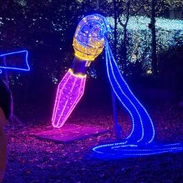 Garden of Lights Budapest - ELTE Füvészkert Budapest - Egyéb