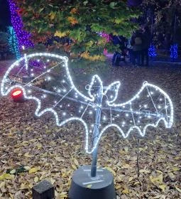 Garden of Lights Budapest - ELTE Füvészkert