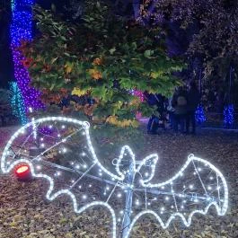 Garden of Lights Budapest - ELTE Füvészkert Budapest - Egyéb