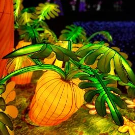 Garden of Lights Budapest - ELTE Füvészkert Budapest - Egyéb