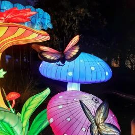 Garden of Lights Budapest - ELTE Füvészkert Budapest - Egyéb