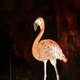 Garden of Lights Budapest - ELTE Füvészkert Budapest - Egyéb