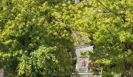 Esztergomi Bazilika, Esztergom