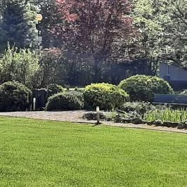 Fenyőharaszt Kastélyszálló, Verseg - Medence/kert