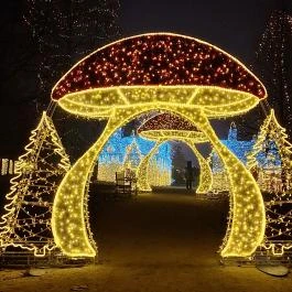 Fénypompás Kastélypark Gödöllő - Egyéb