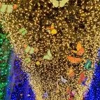 Garden of Lights Budapest - ELTE Füvészkert Budapest - Egyéb