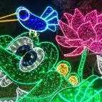 Garden of Lights Budapest - ELTE Füvészkert Budapest - Egyéb