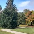 Gödöllői Királyi Kastély Gödöllő - Egyéb