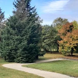 Gödöllői Királyi Kastély Gödöllő - Egyéb