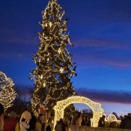 Fénypompás Kastélypark Gödöllő - Egyéb