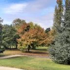 Gödöllői Királyi Kastély Gödöllő - Egyéb