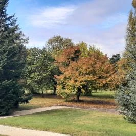 Gödöllői Királyi Kastély Gödöllő - Egyéb