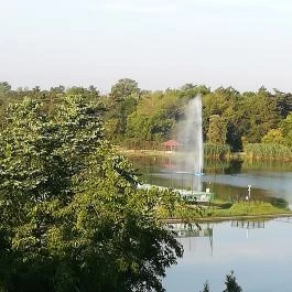 Hotel Corvus Aqua, Orosháza - Környék