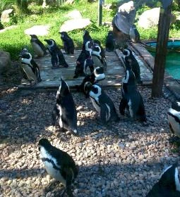 Jászberényi Állat- és Növénykert