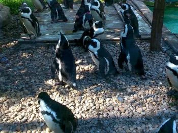 Jászberényi Állat- és Növénykert Jászberény