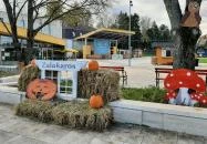 Karos Korzó Zalakaros