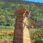 Kevélyhegyi levendulamező Pilisborosjenő - Egyéb