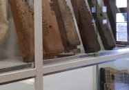 Leskowsky Hangszergyűjtemény Kecskemét Leskowsky Hangszergyűjtemény Kecskemét