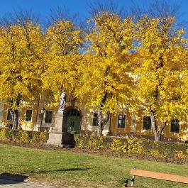 Váci Nagyboldogasszony-székesegyház Vác - Egyéb