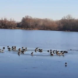 Naplás-tavi kilátó, Budapest - Egyéb