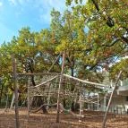 Pécsi TV-Torony Kilátó Pécs - Egyéb