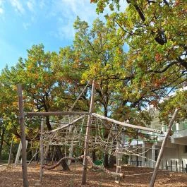 Pécsi TV-Torony Kilátó Pécs - Egyéb