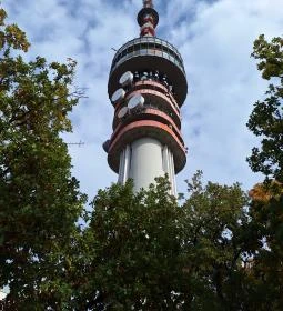 Pécsi TV-Torony Kilátó