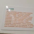 Sajdik Ferenc Gyűjtemény Vác - Egyéb