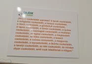 Sajdik Ferenc Gyűjtemény Vác