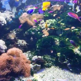 Tropicarium Budapest - Egyéb