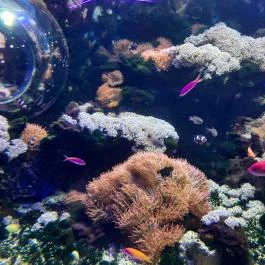 Tropicarium Budapest - Egyéb