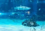 Tropicarium Budapest