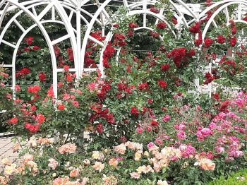 Verseghy park Szolnok