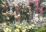 Verseghy park Szolnok