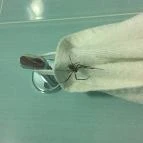 Echo Residence All Suite Hotel Tihany - Egyéb