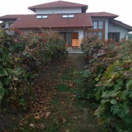 Egri Korona Borház & Wellness Hotel Demjén - Külső kép