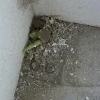 Hotel Szieszta Sopron - Szobák