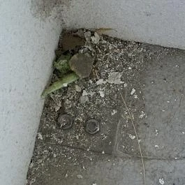 Hotel Szieszta, Sopron - Szobák