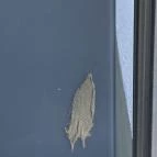 Hotel Szieszta Sopron - Szobák