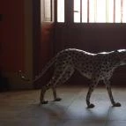 Hotel Vécsecity Hernádvécse - Egyéb