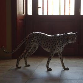 Hotel Vécsecity Hernádvécse - Egyéb