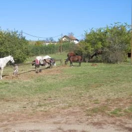 Fáy Présház Étterem, Fót - Egyéb