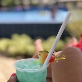 Hotel Délibáb Hajdúszoboszló - Környék