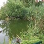 Bonita Apartman Hotel Cserkeszőlő - Környék