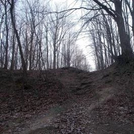 Erzsébet Park Hotel, Parádfürdő - Környék