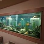 NaturMed Hotel Carbona Hévíz - Belső